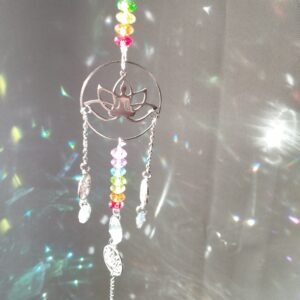 Bouddha et Lotus 7 chakras