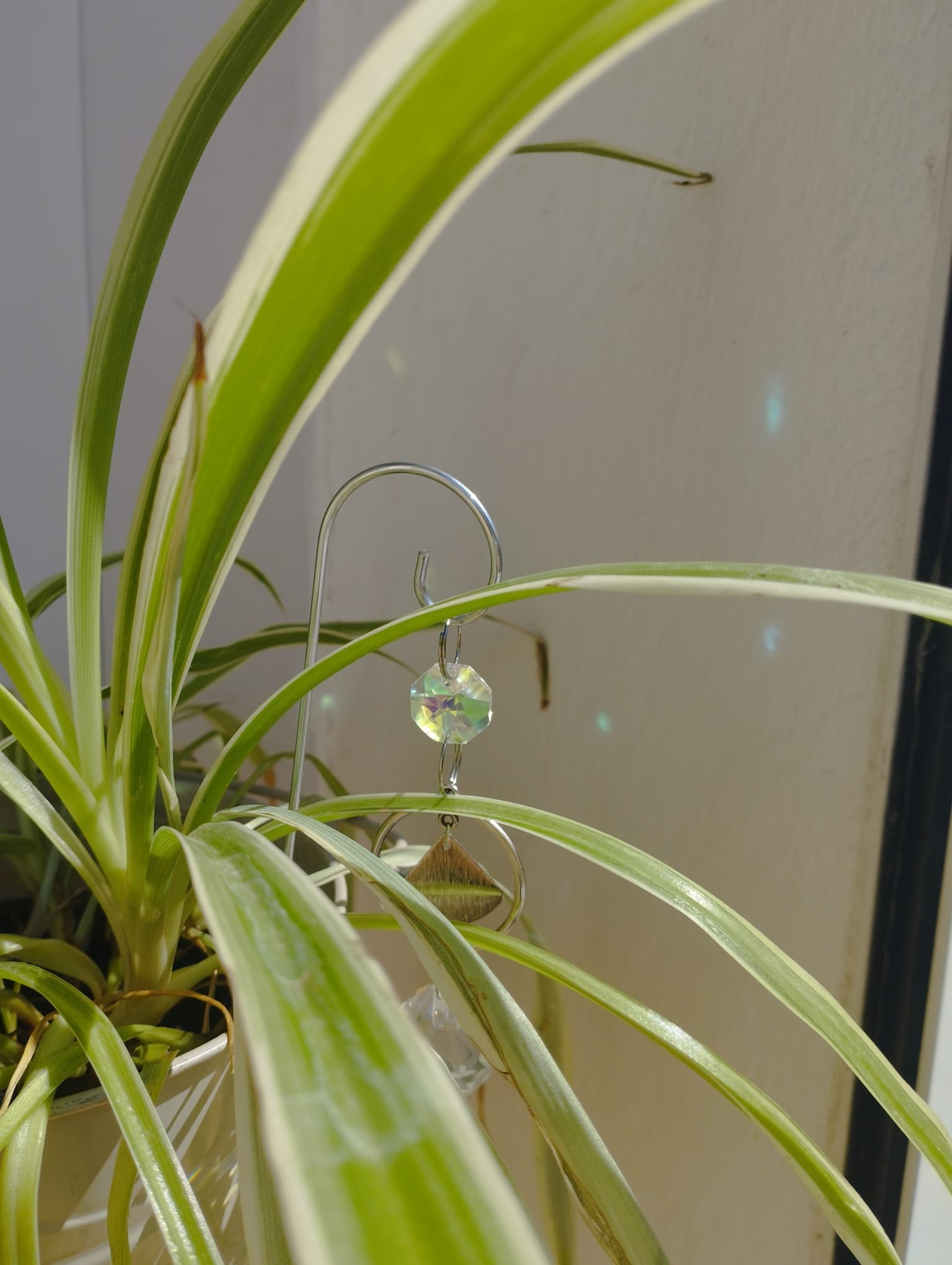 Le pétale enchanté – Image 4