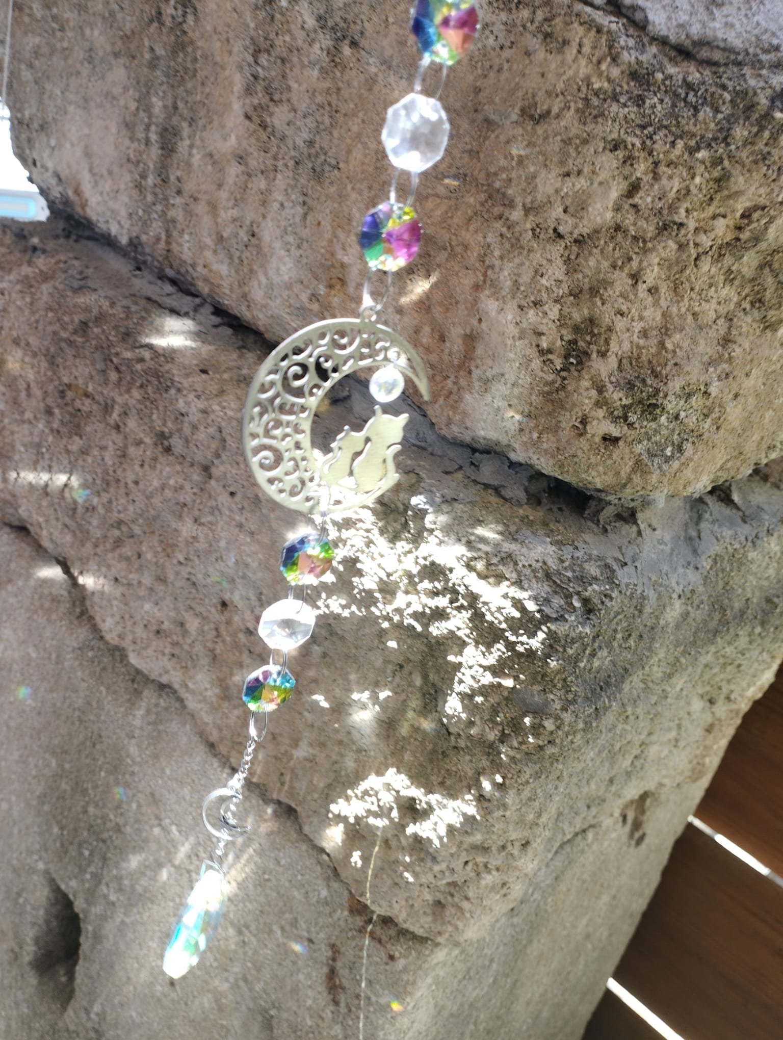 Clair de lune Félins – Image 9
